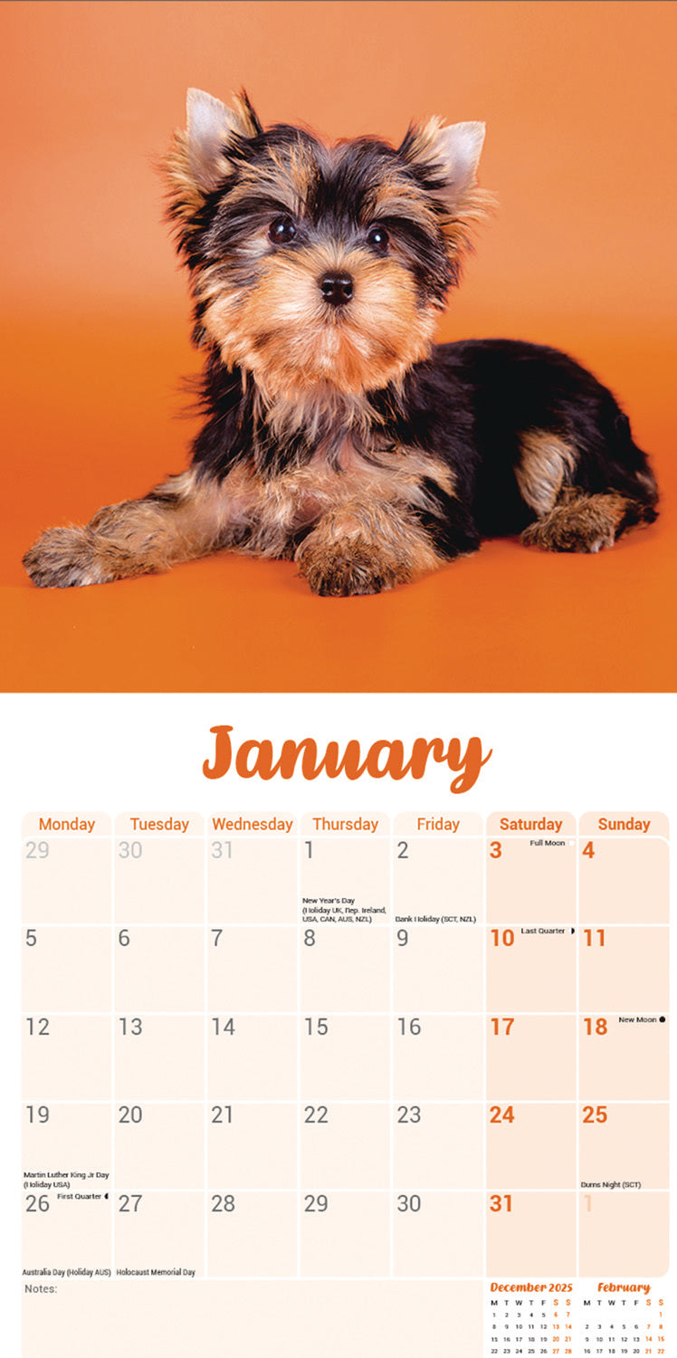 Yorkshire Terrier Puppies Mini Calendar 2026