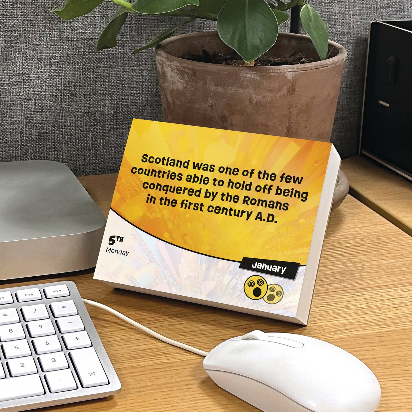 WTF: Weird True Facts Box Calendar 2026