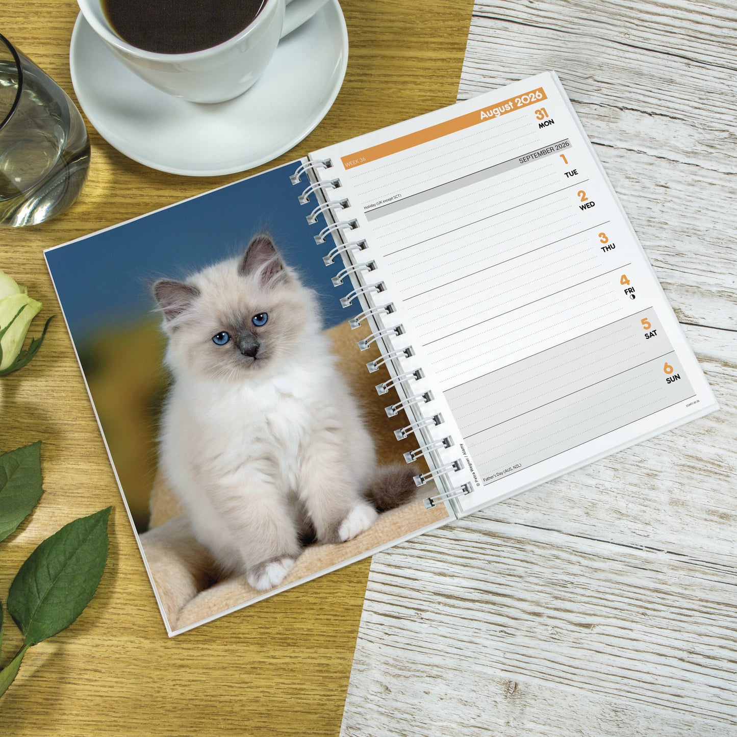 Kittens A5 Wiro Diary 2026