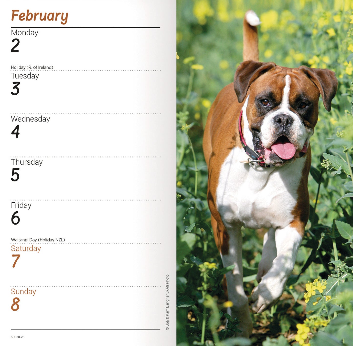 Boxers Slim Diary 2026