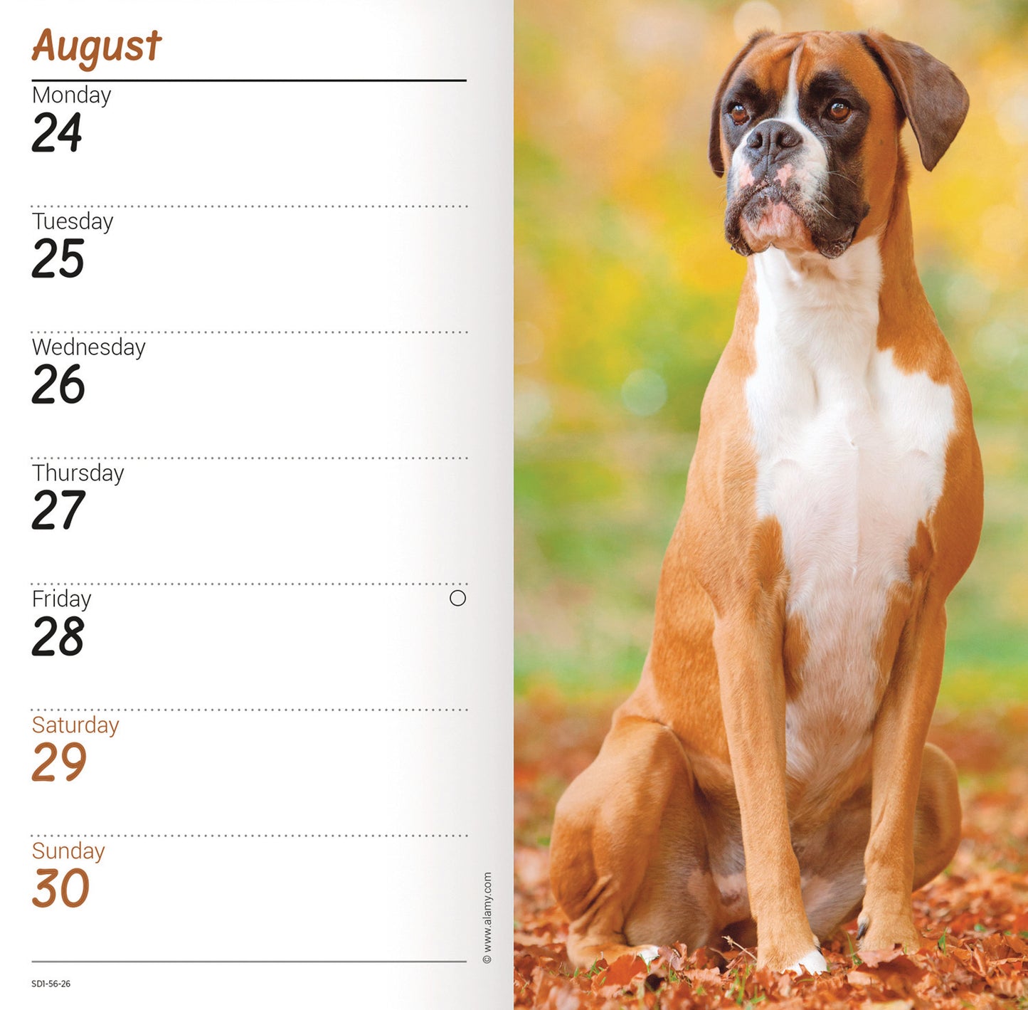 Boxers Slim Diary 2026
