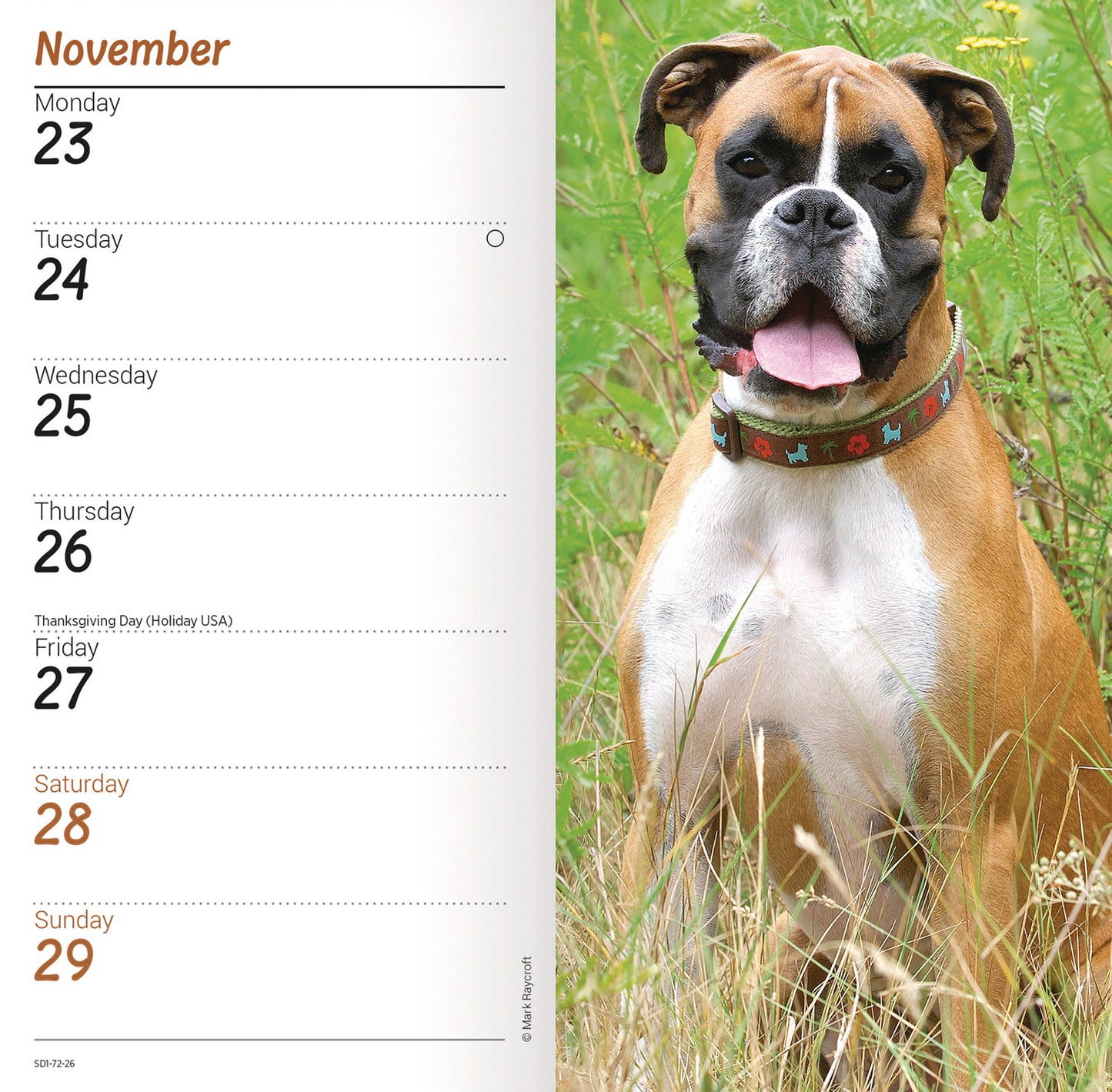 Boxers Slim Diary 2026