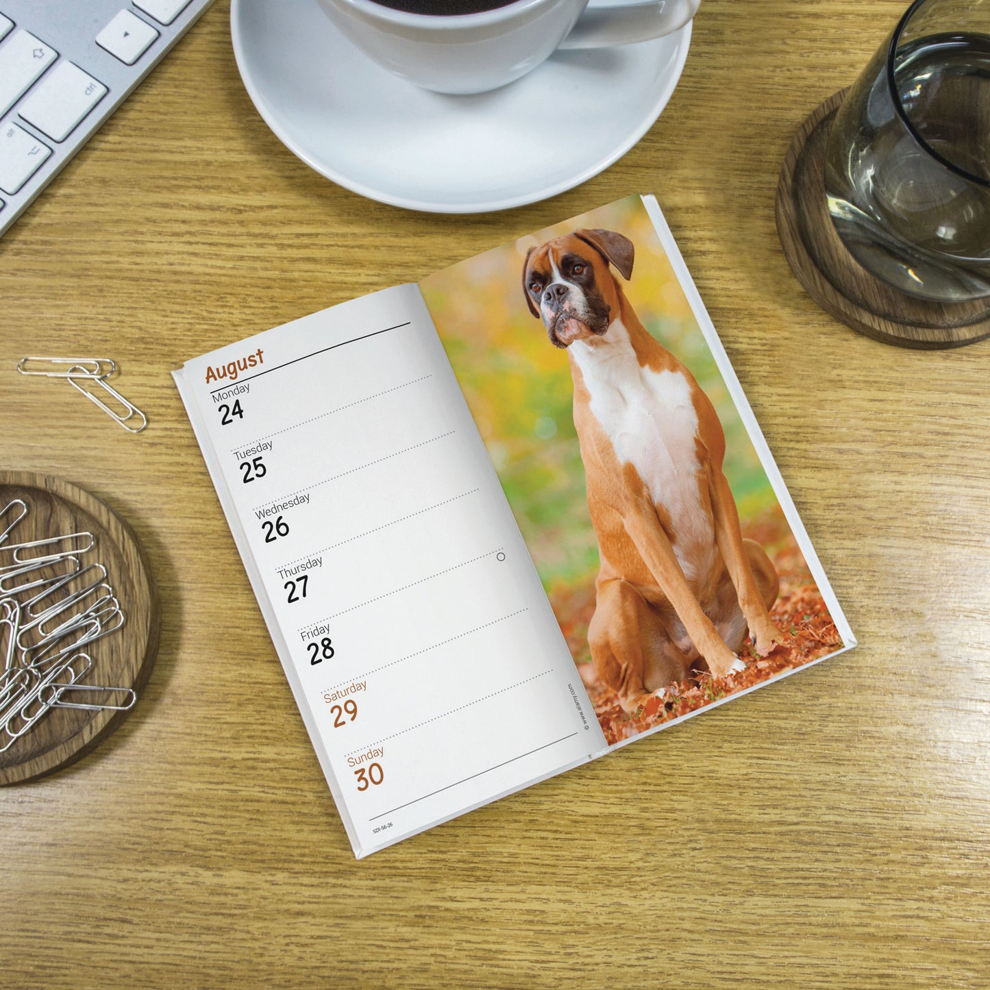 Boxers Slim Diary 2026