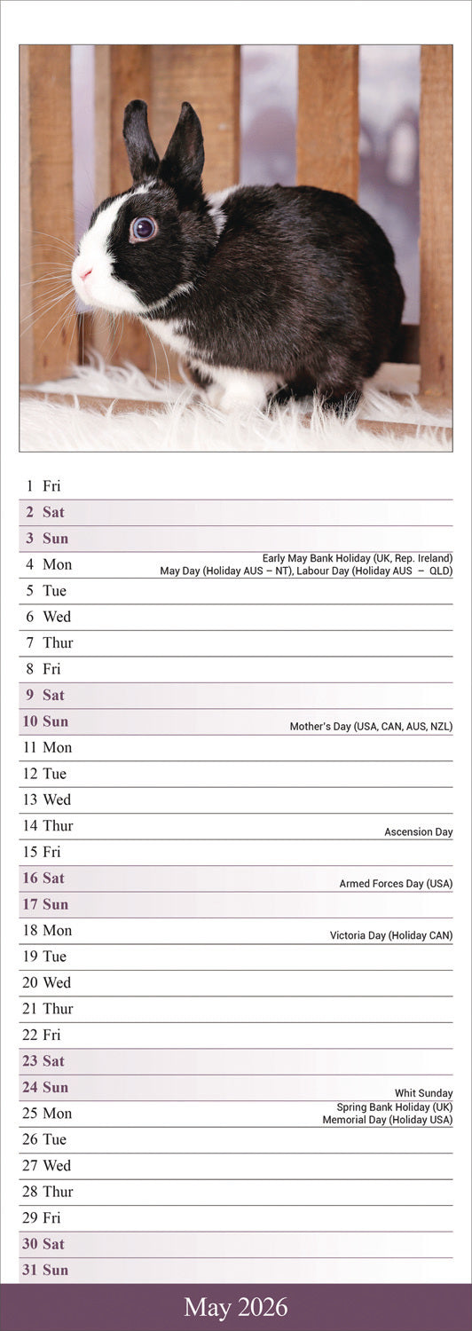 Rabbits Slim Calendar 2026