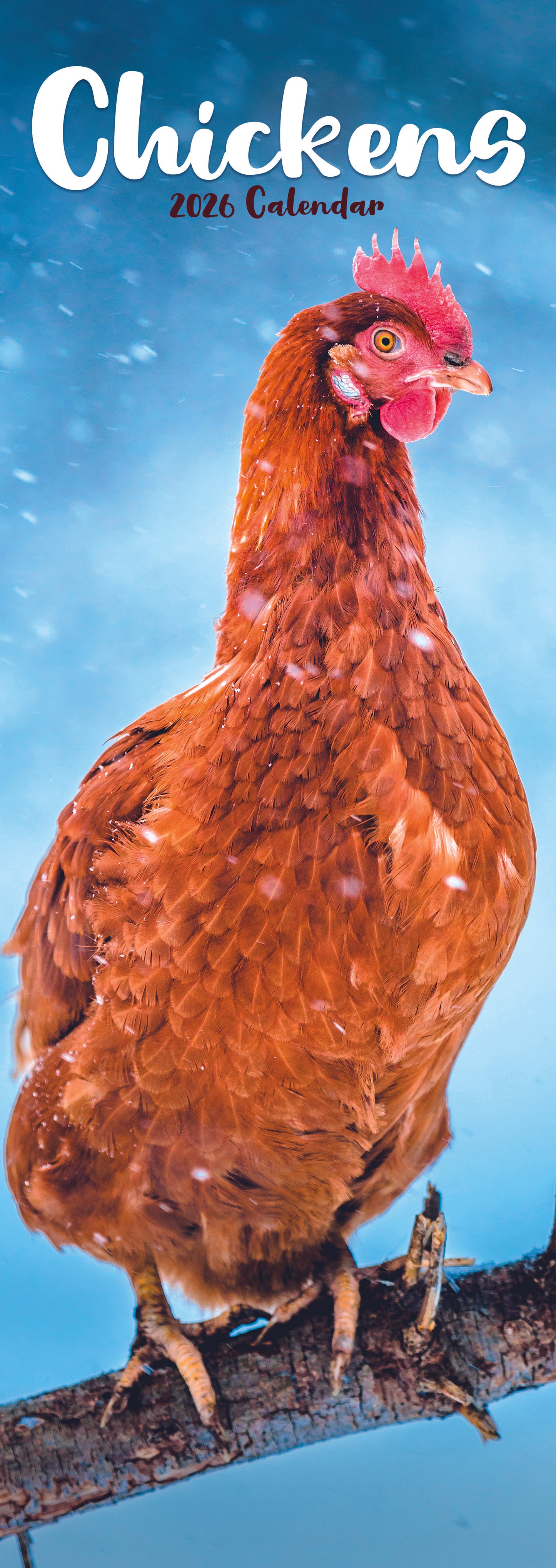 Chickens Slim Calendar 2026