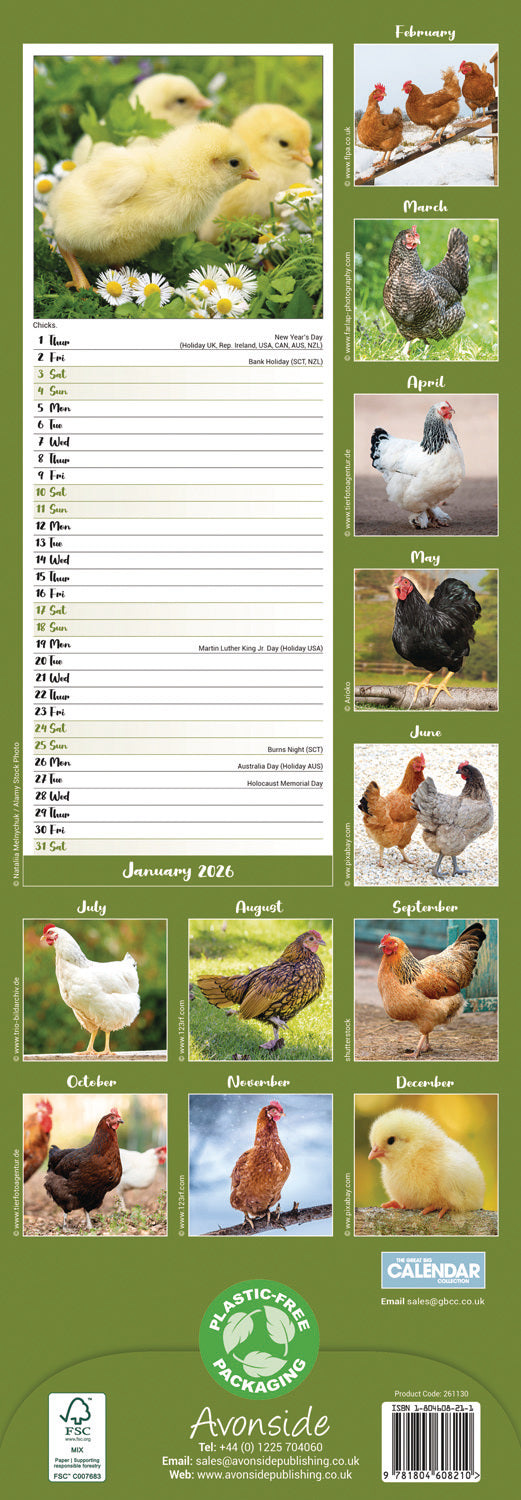 Chickens Slim Calendar 2026