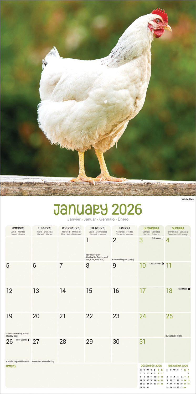 Chickens Wall Calendar 2026