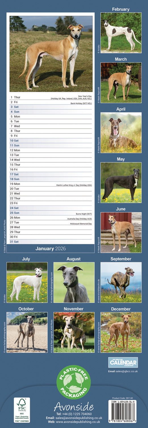 Greyhound Slim Calendar 2026