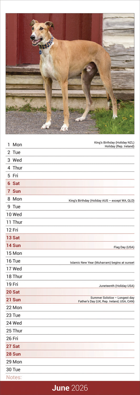 Greyhound Slim Calendar 2026