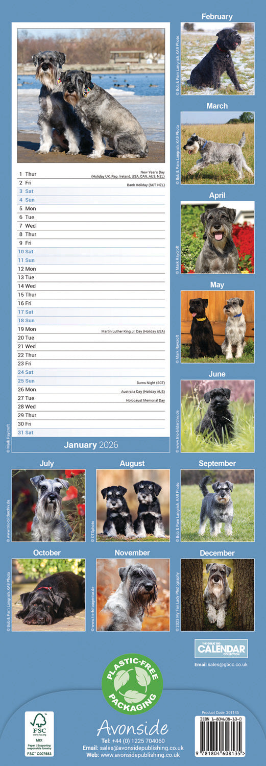 Schnauzer Slim Calendar 2026