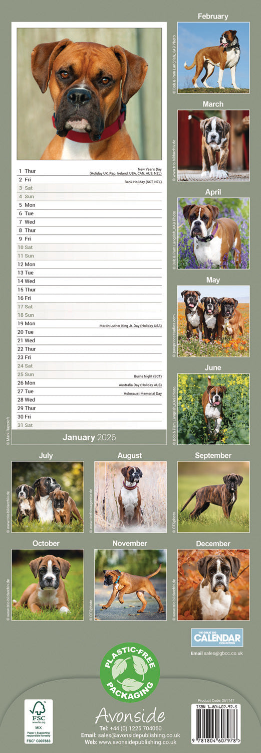 Boxer Slim Calendar 2026