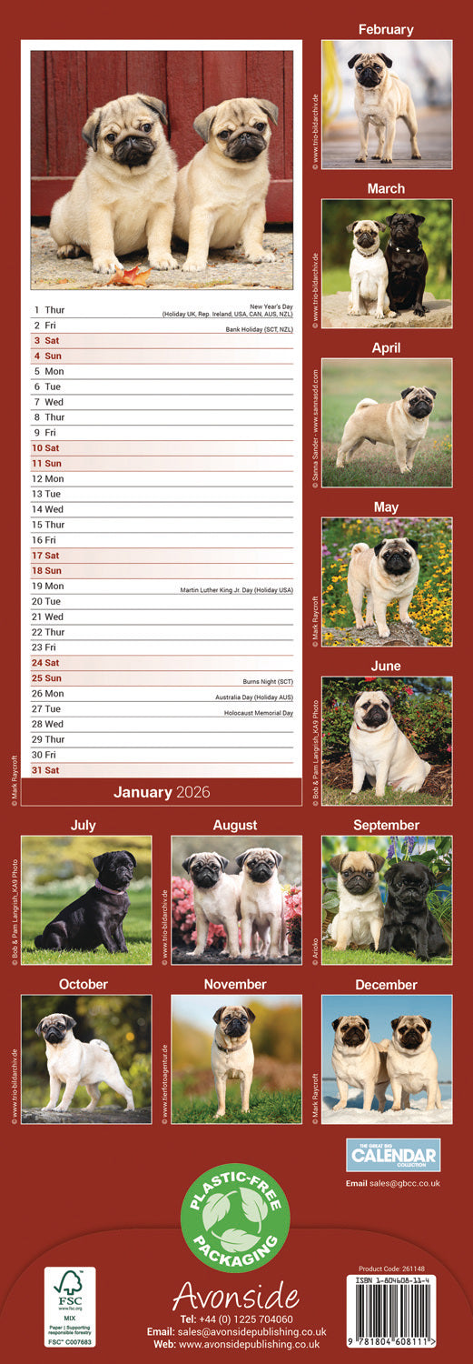 Pug Slim Calendar 2026