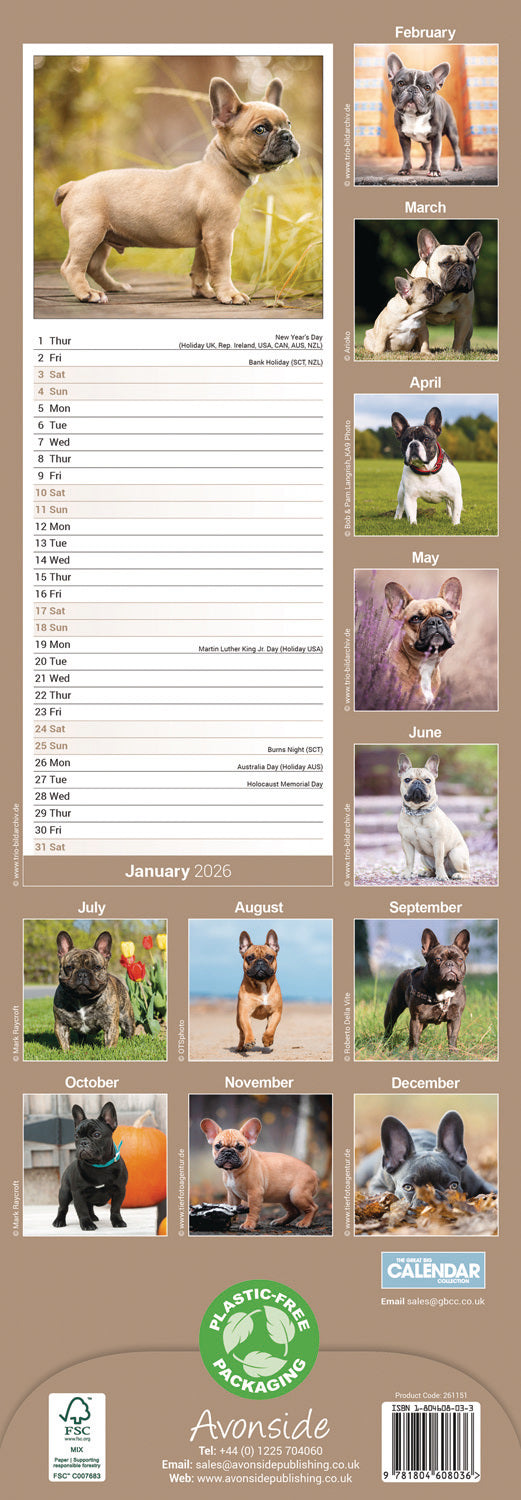 French Bulldog Slim Calendar 2026