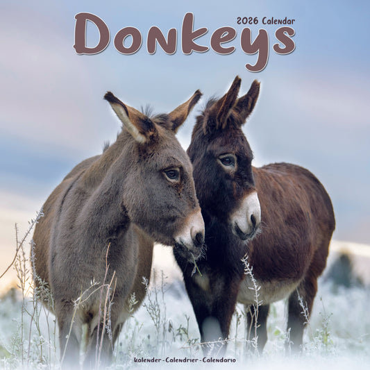 Donkeys Wall Calendar 2026