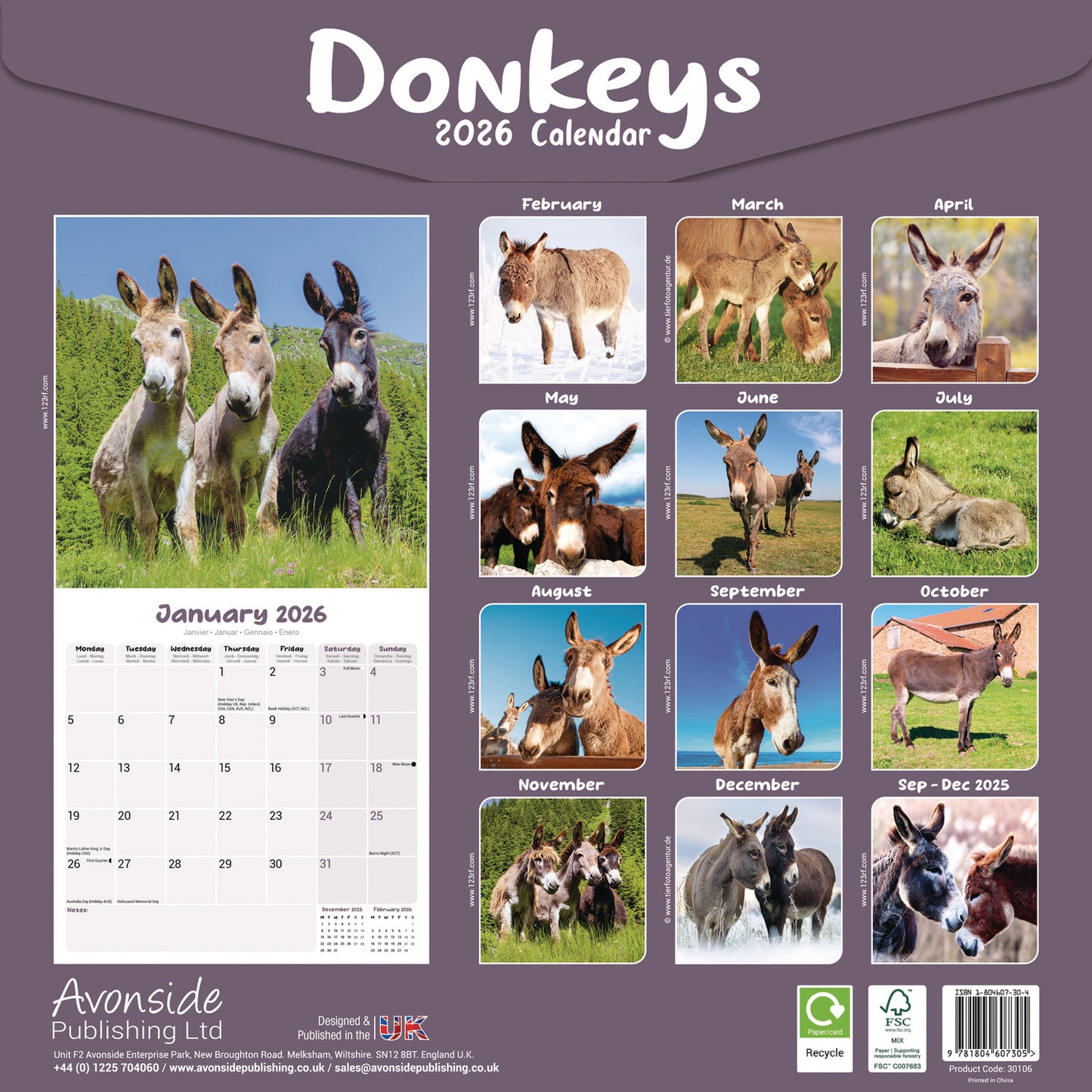 Donkeys Wall Calendar 2026