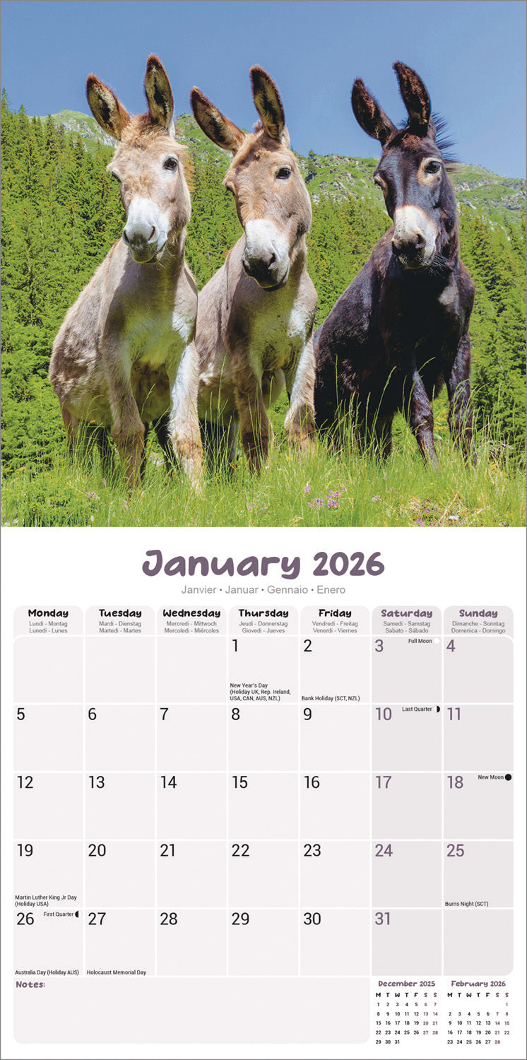 Donkeys Wall Calendar 2026