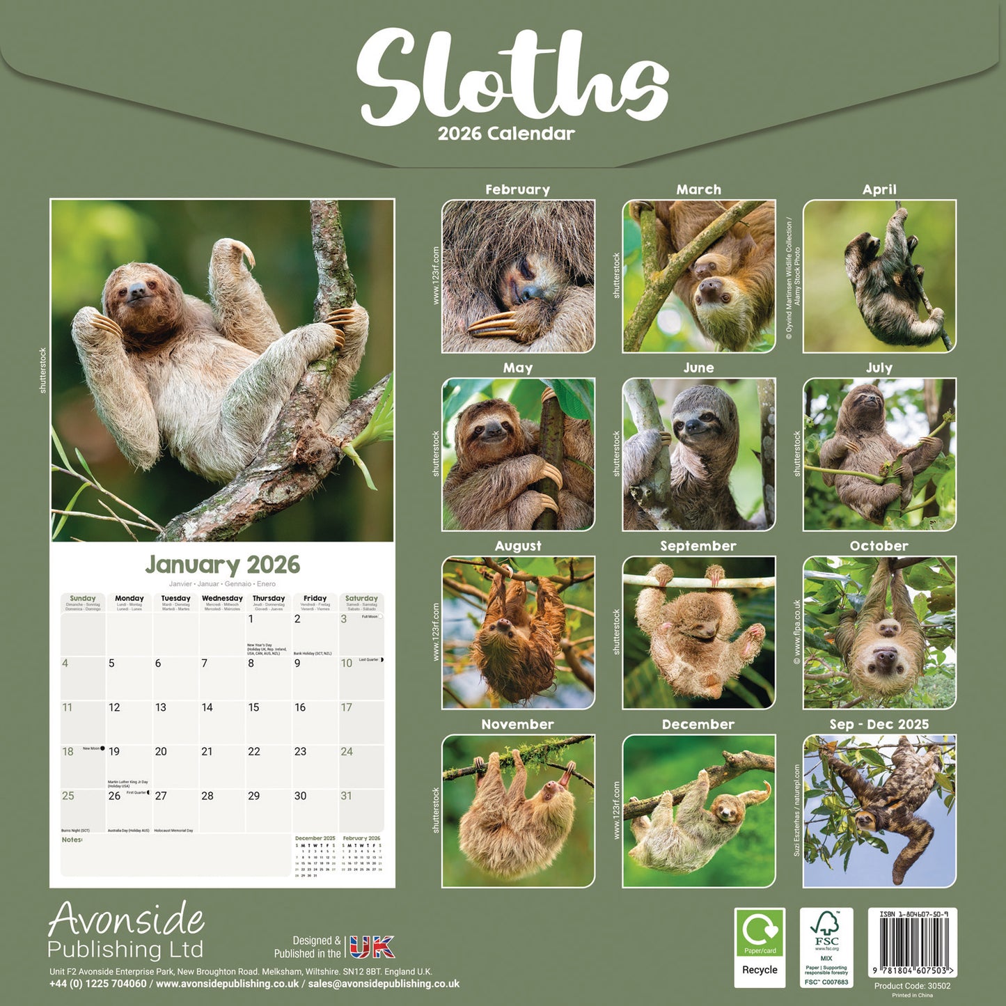 Sloths Wall Calendar 2026