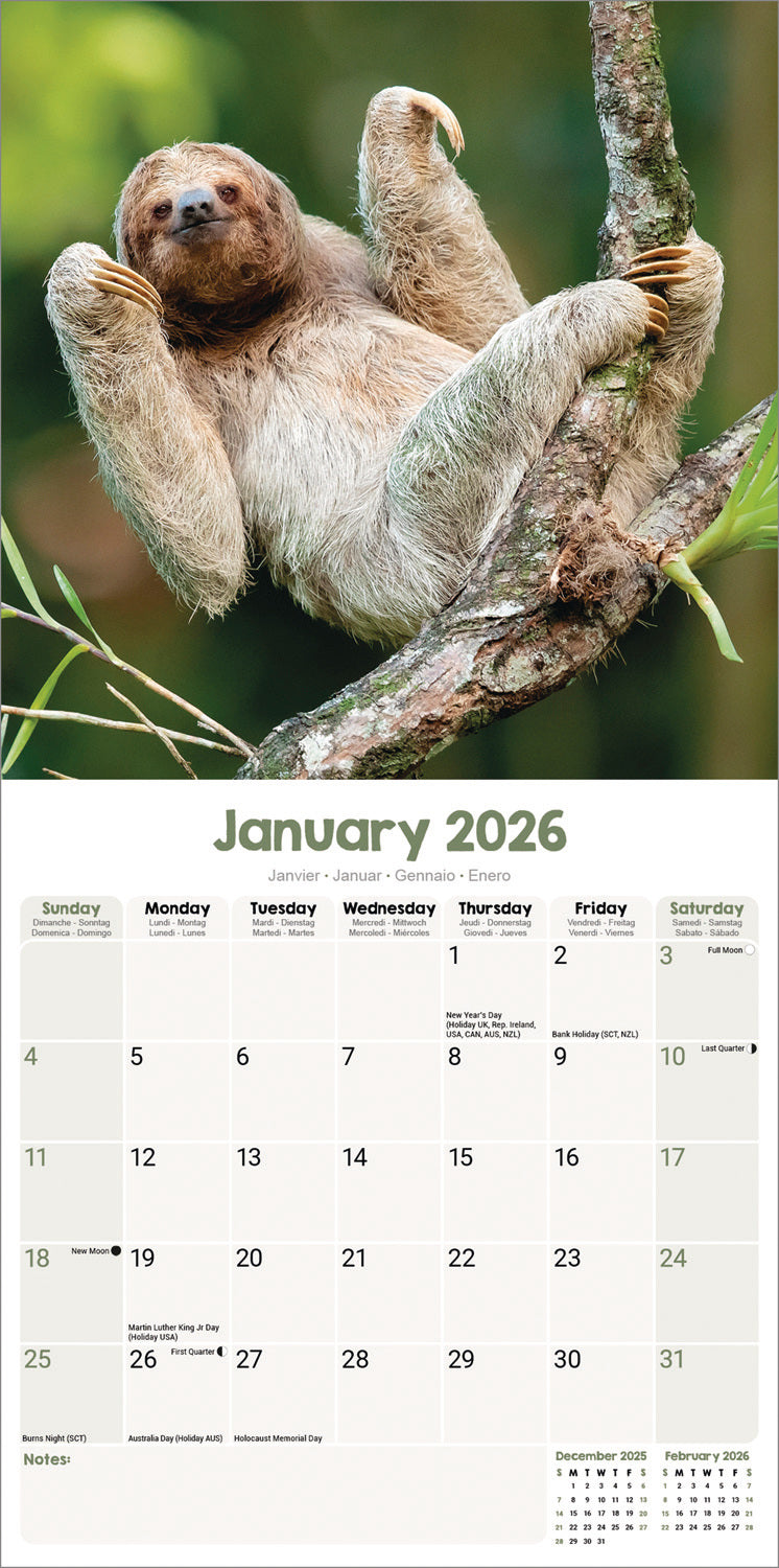 Sloths Wall Calendar 2026