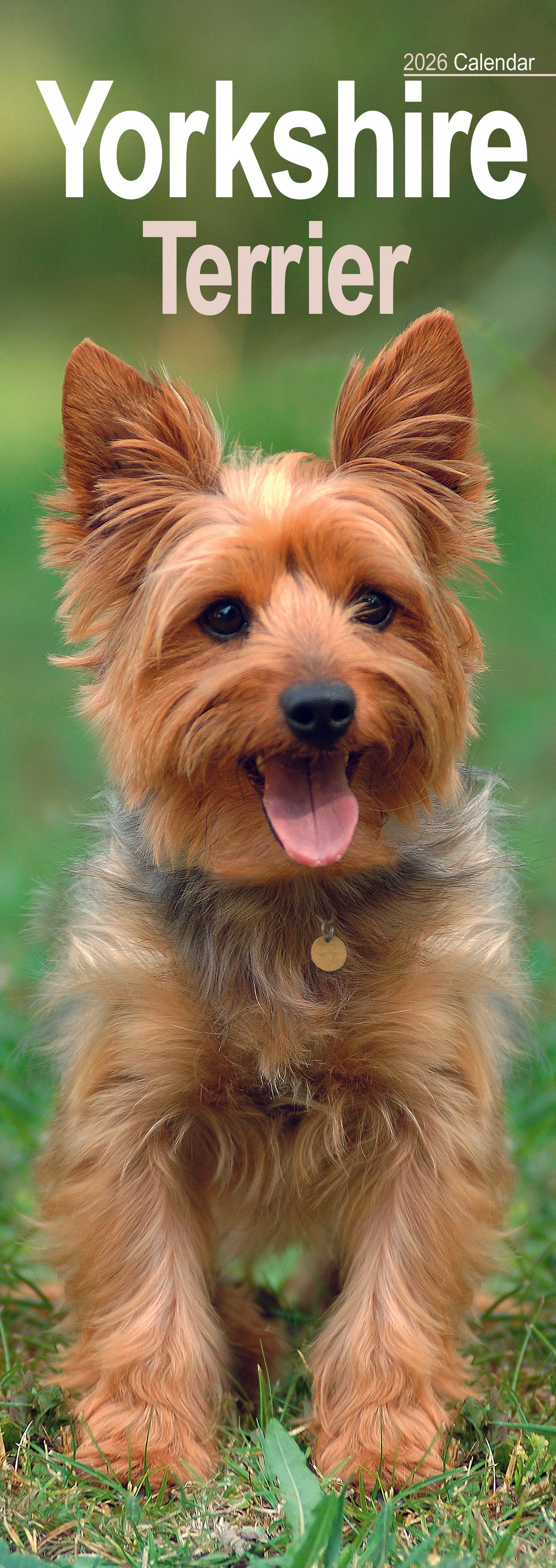 Yorkshire Terrier Slim Calendar 2026