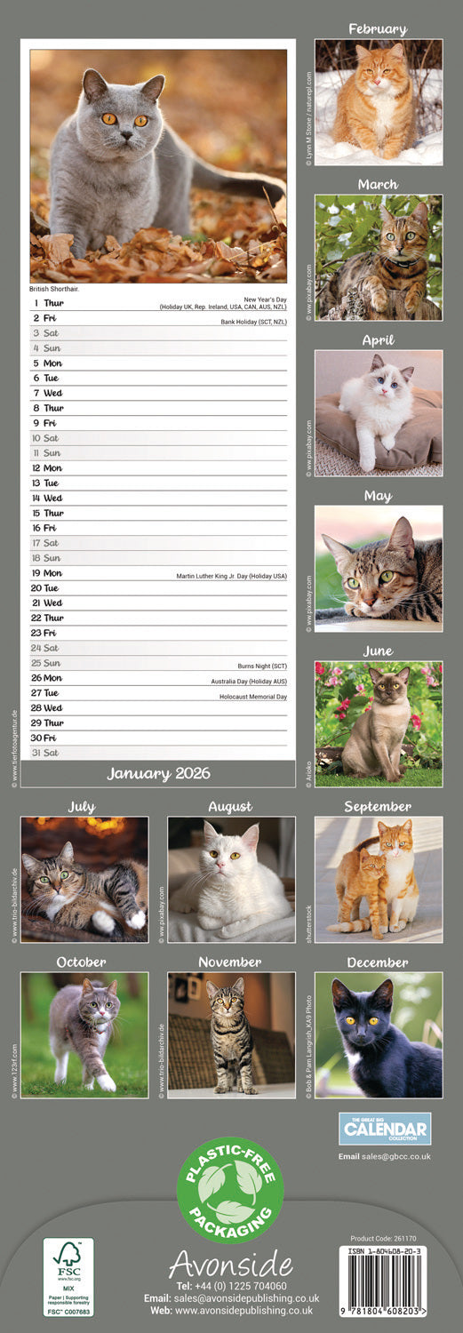 Cats Slim Calendar 2026