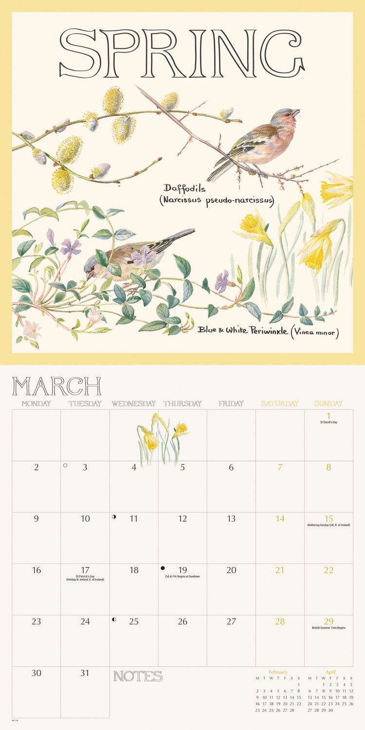 Country Diary, Edith Holden Wall Calendar 2026