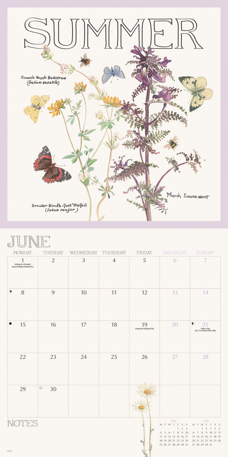 Country Diary, Edith Holden Wall Calendar 2026