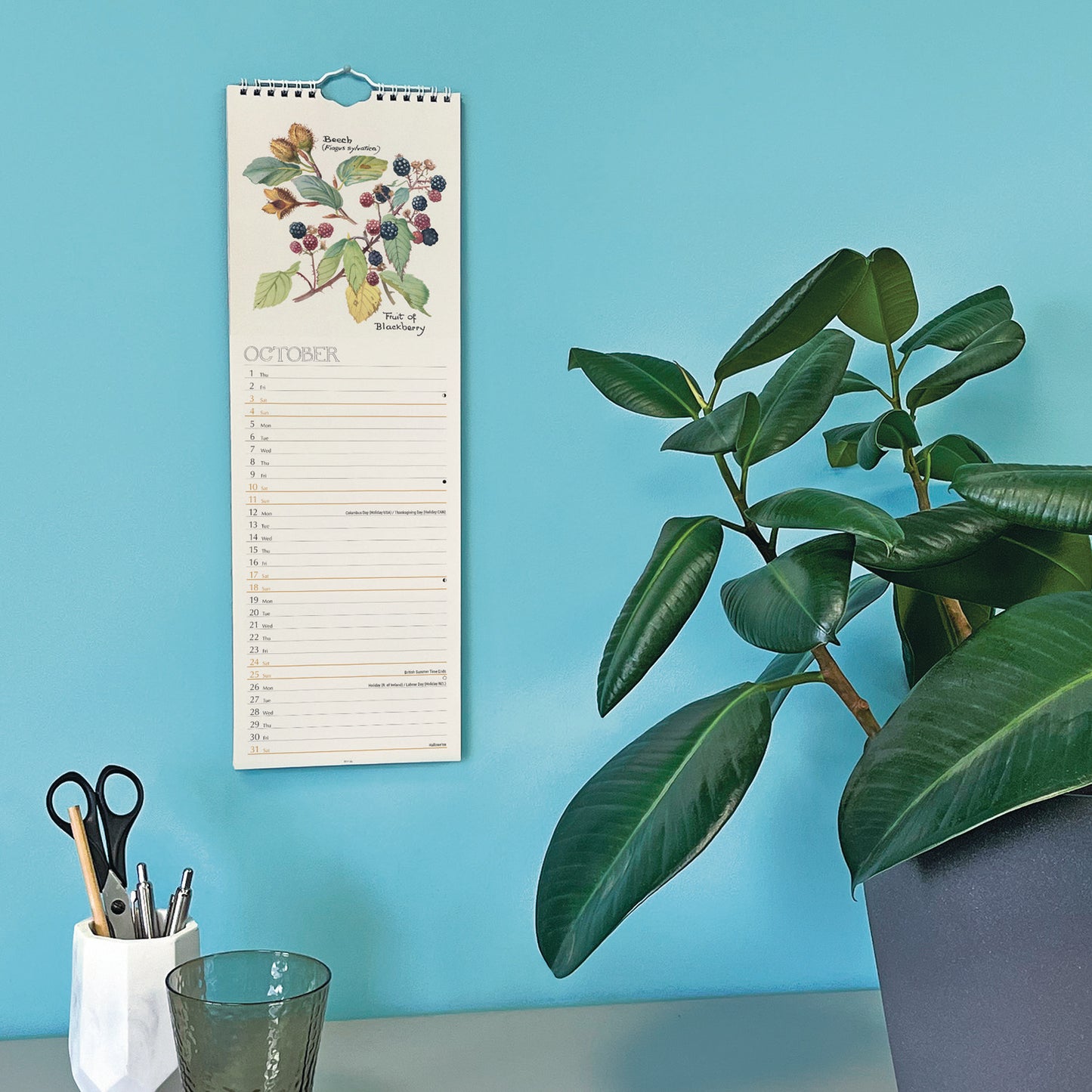 Country Diary, Edith Holden slim calendar 2026