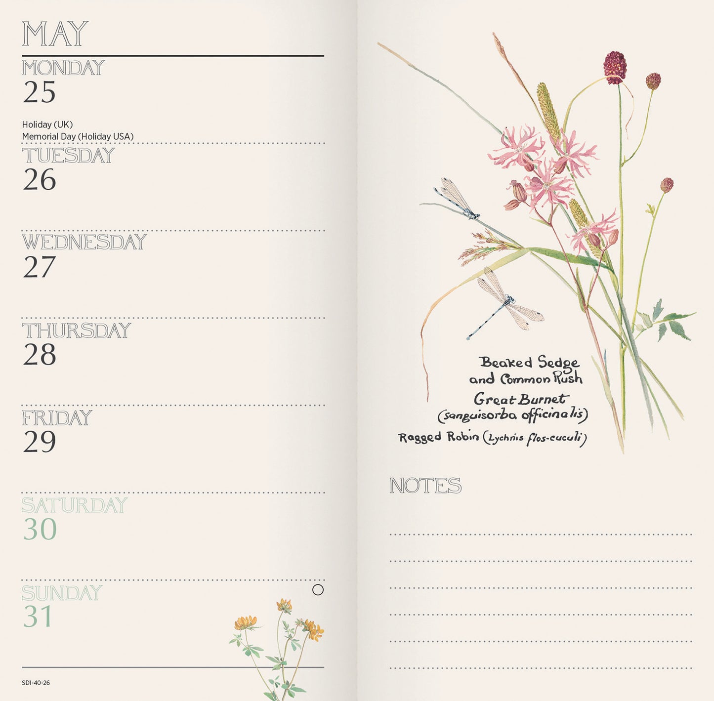 Country Diary, Edith Holden Slim Dlx Diary 2026