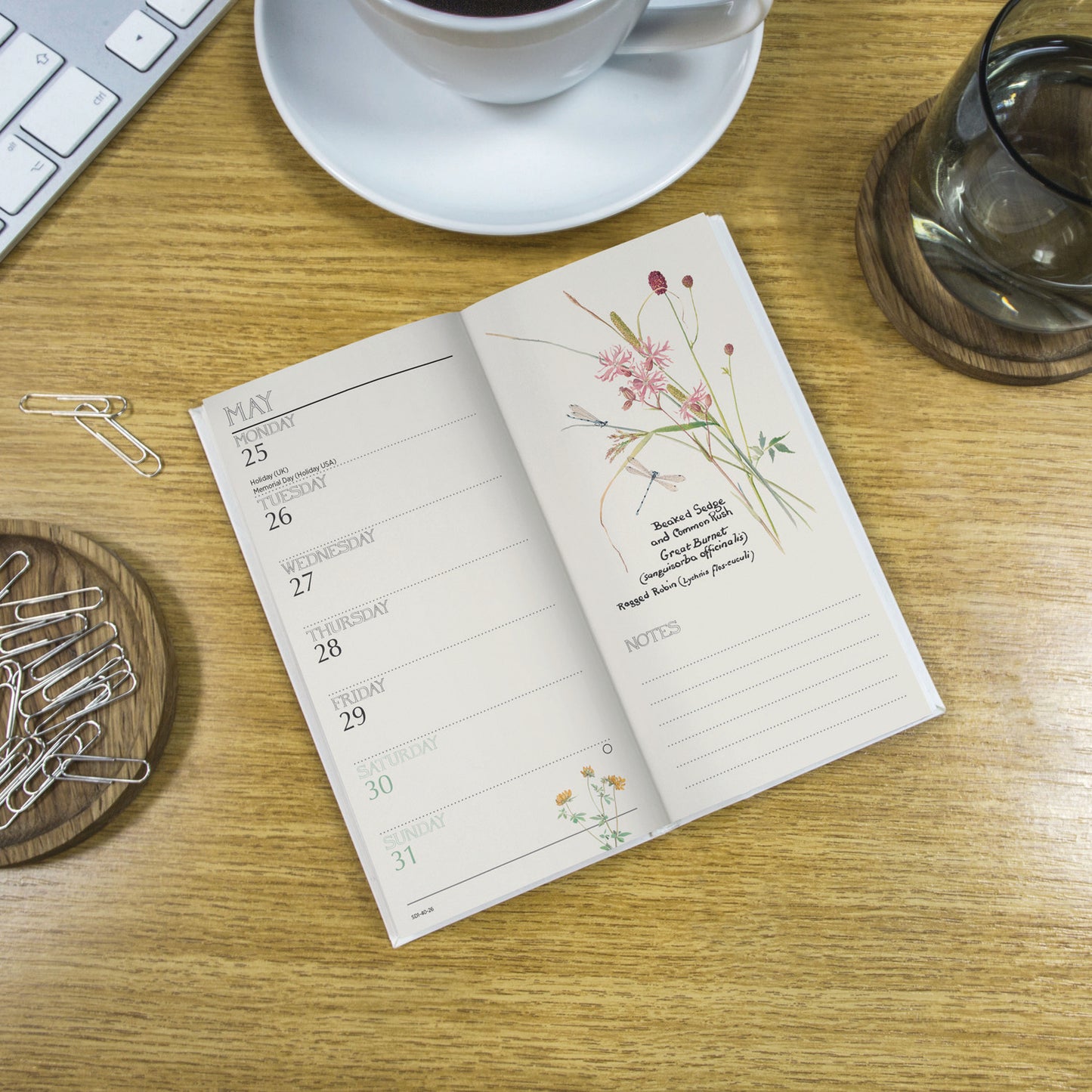 Country Diary, Edith Holden Slim Dlx Diary 2026