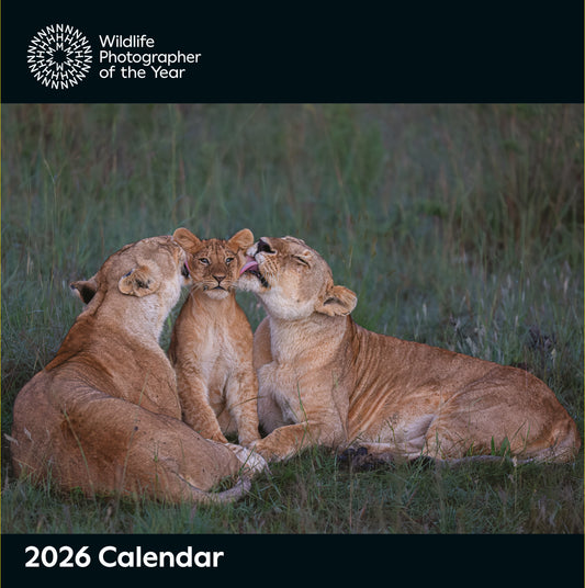 Wildlife Photographer of the Year Wall Calendar 2026
