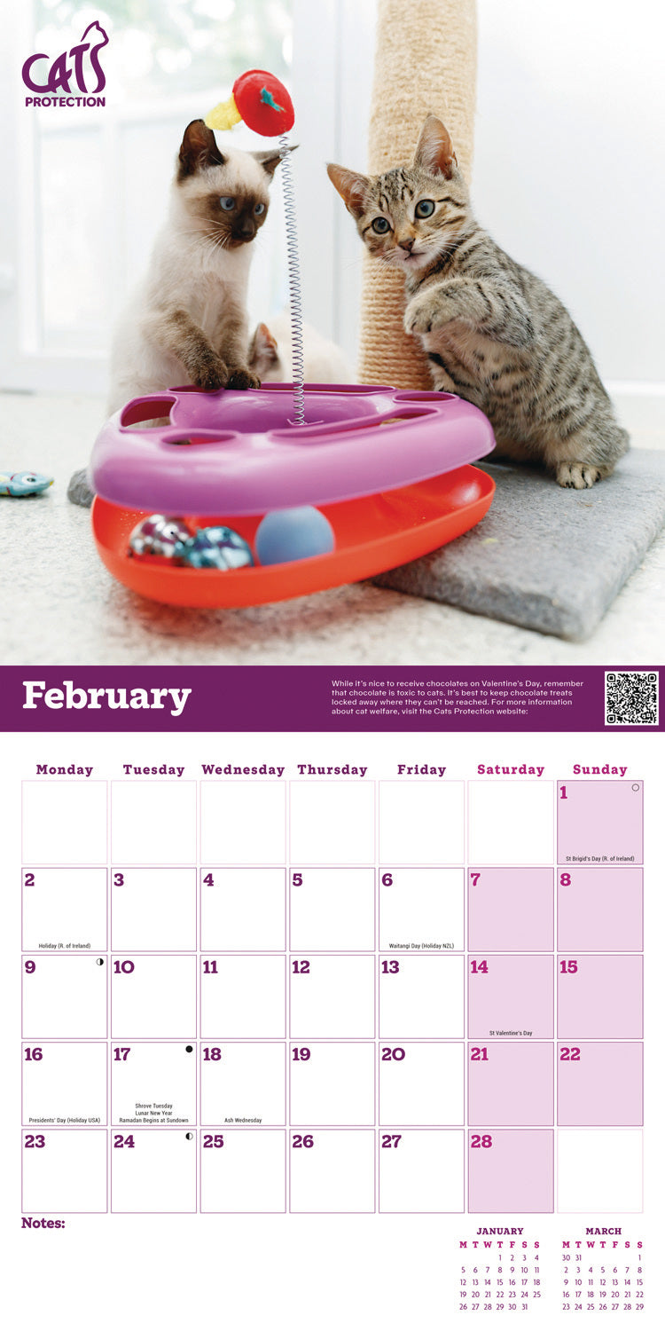 Cats Protection Wall Calendar 2026