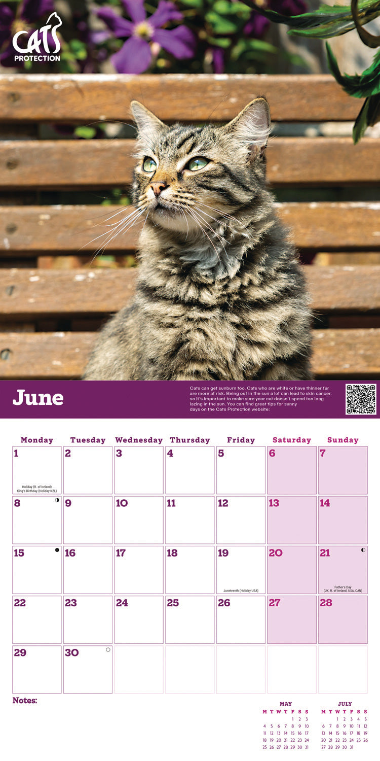 Cats Protection Wall Calendar 2026