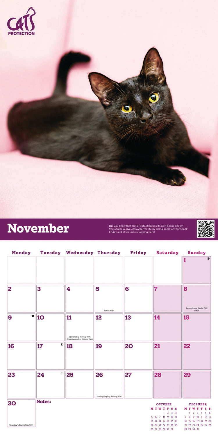Cats Protection Wall Calendar 2026