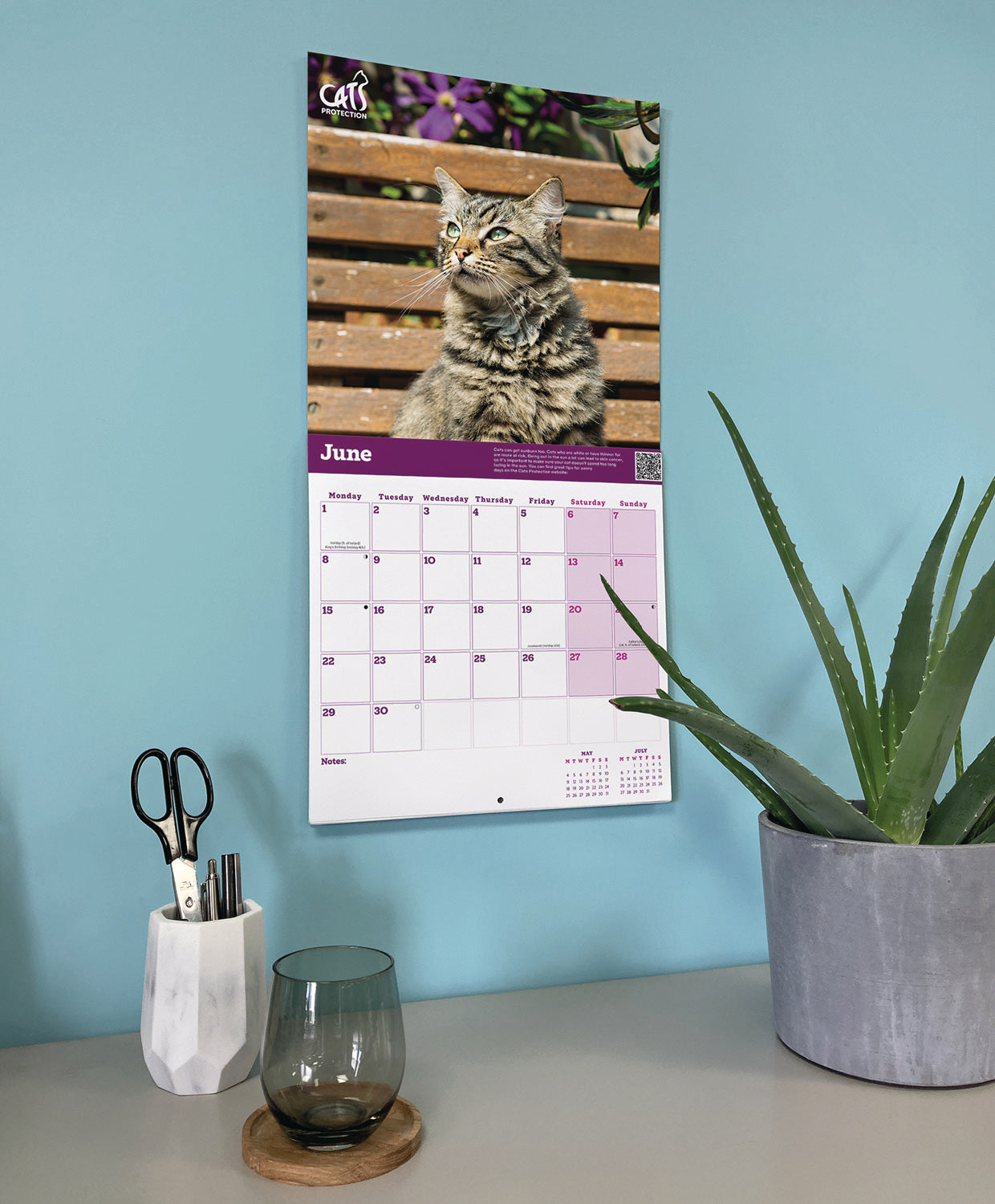 Cats Protection Wall Calendar 2026