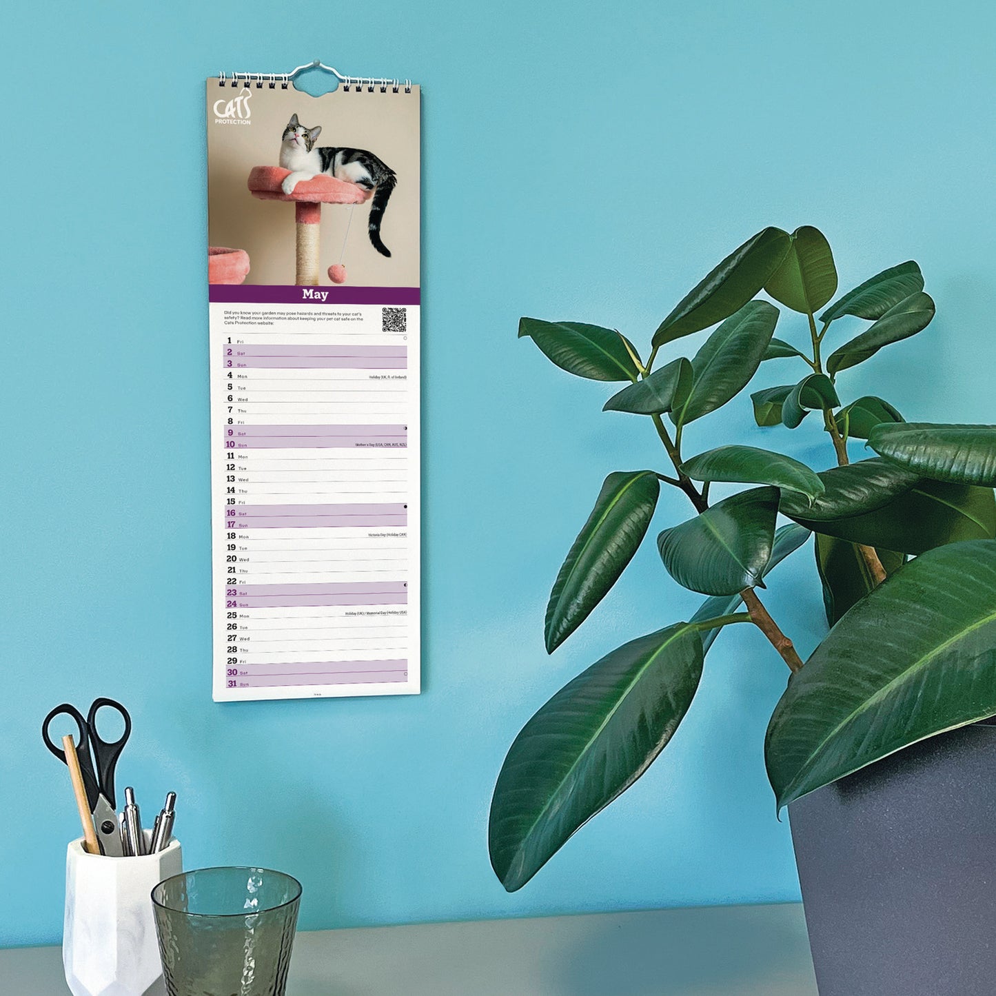 Cats Protection Slim Calendar 2026