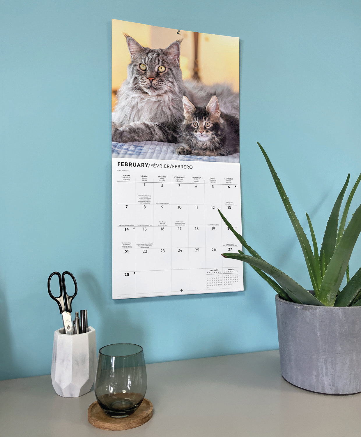 Maine Coon Cats Wall Calendar 2027