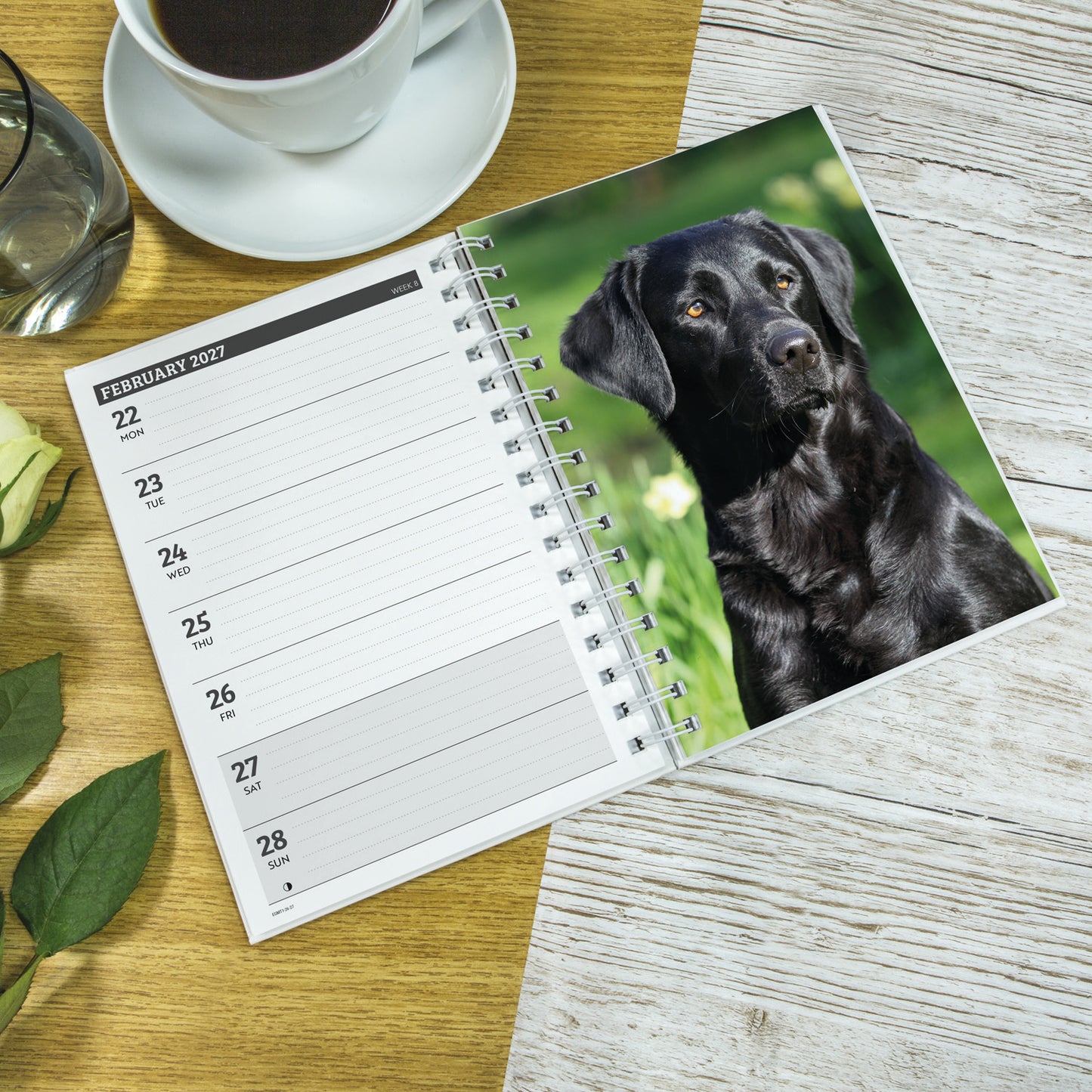 Labrador Retrievers Black A5 Diary 2027