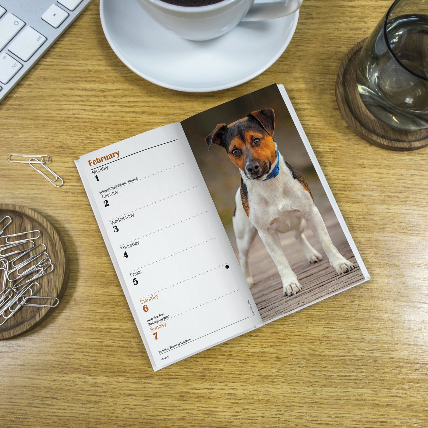 Jack Russell Terriers Slim Diary 2027