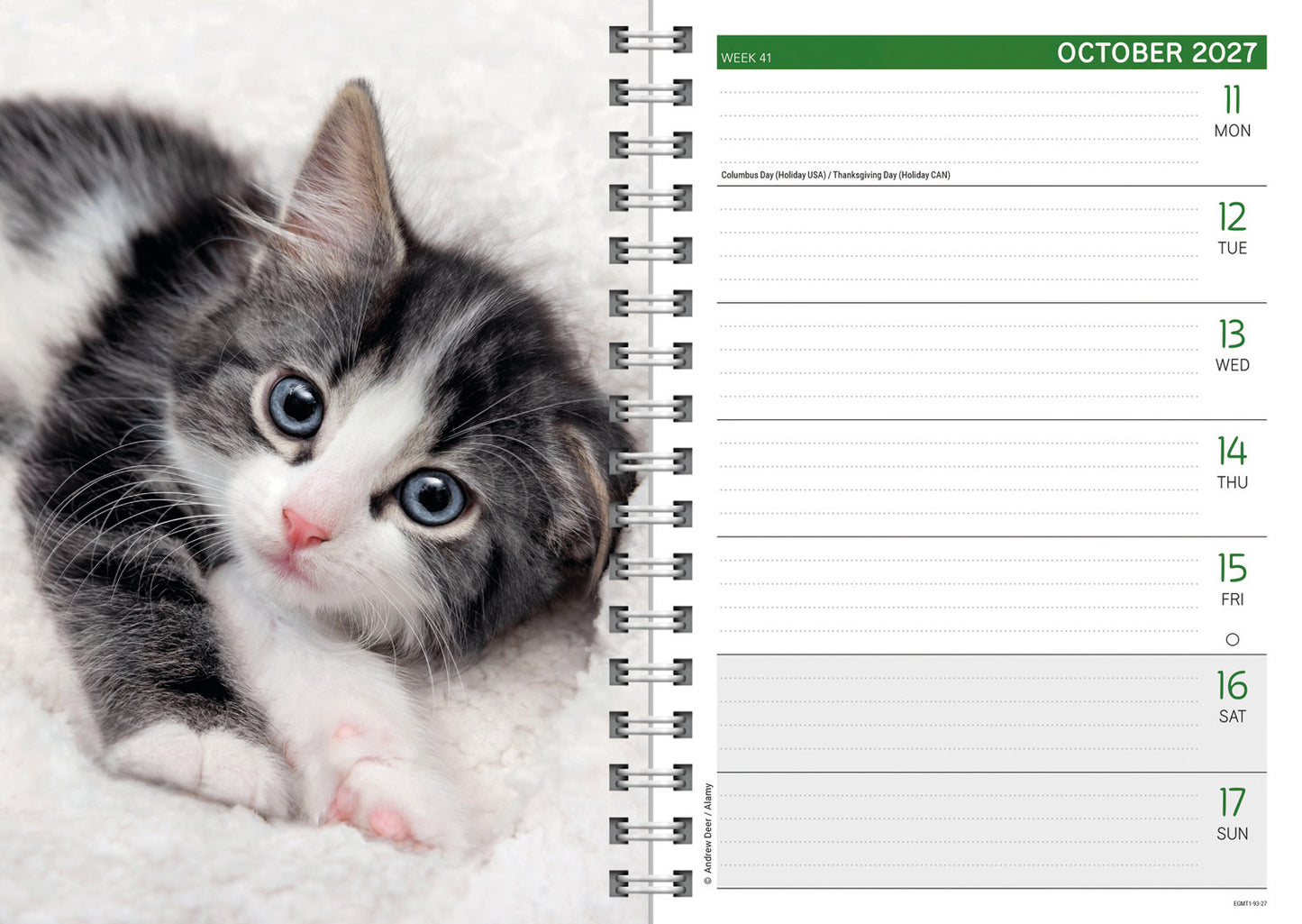 Kittens A5 Diary 2027