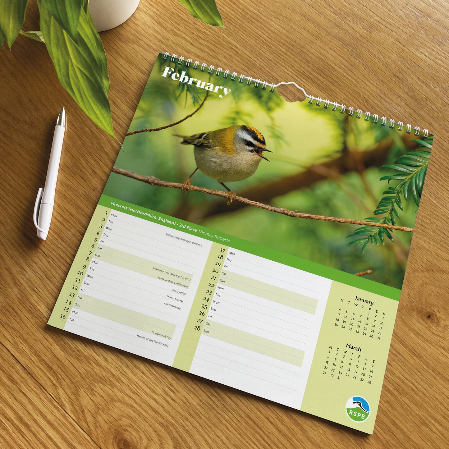RSPB Inspiring Nature Wiro Wall Calendar 2027