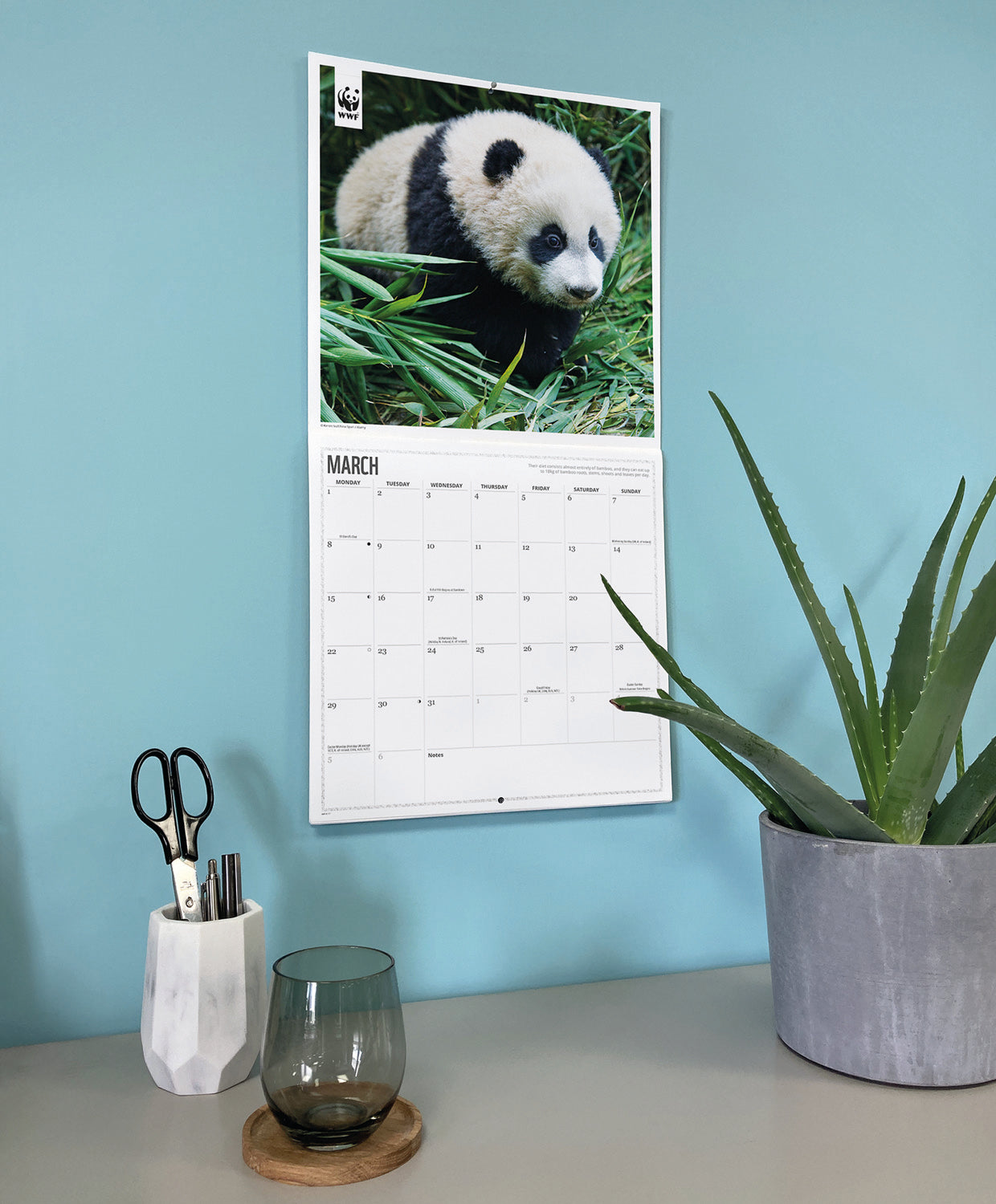 Pandas WWF Wall Calendar 2027