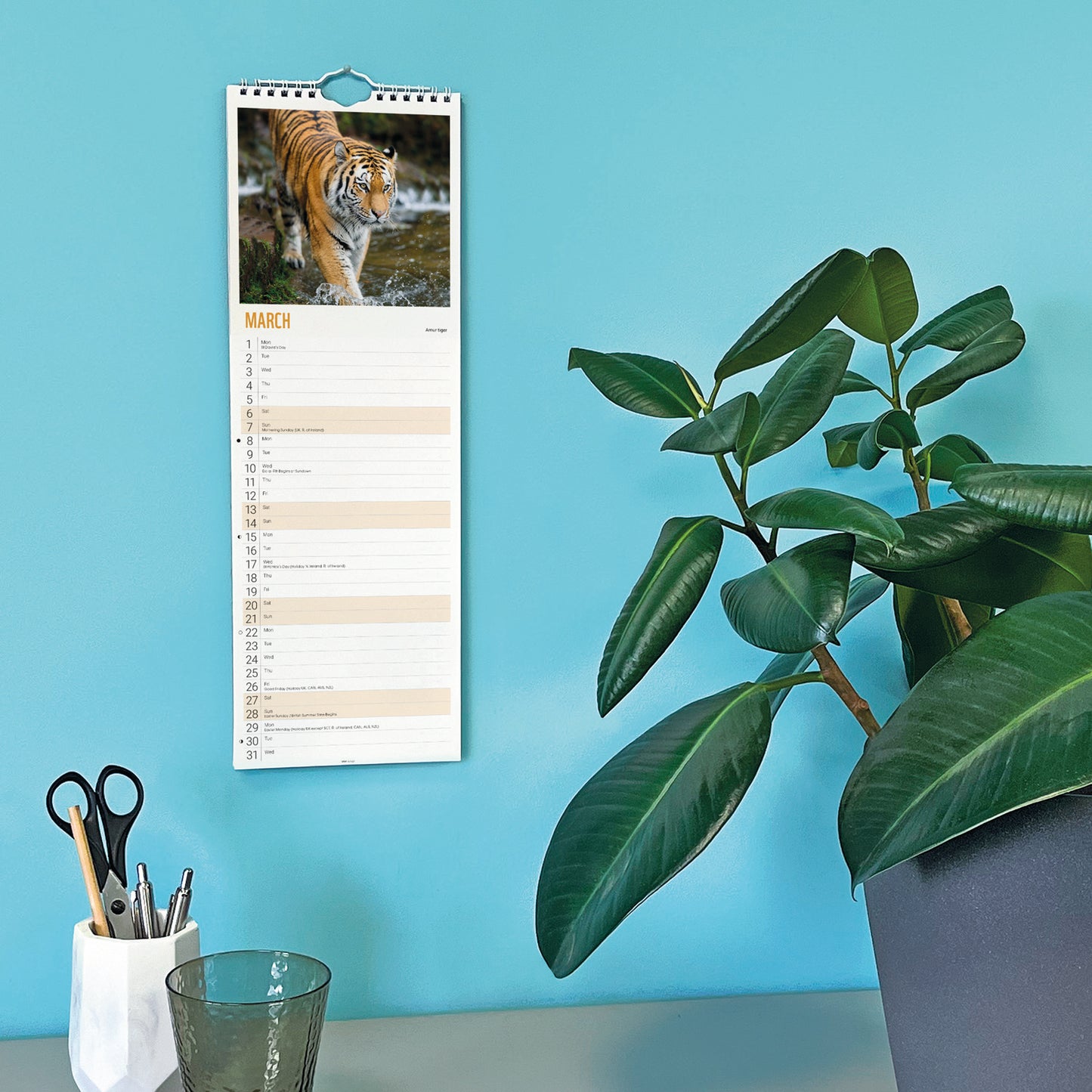 Tigers WWF Slim Calendar 2027