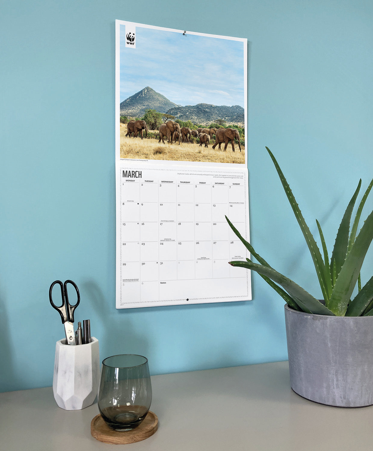 Elephants WWF Wall Calendar 2027