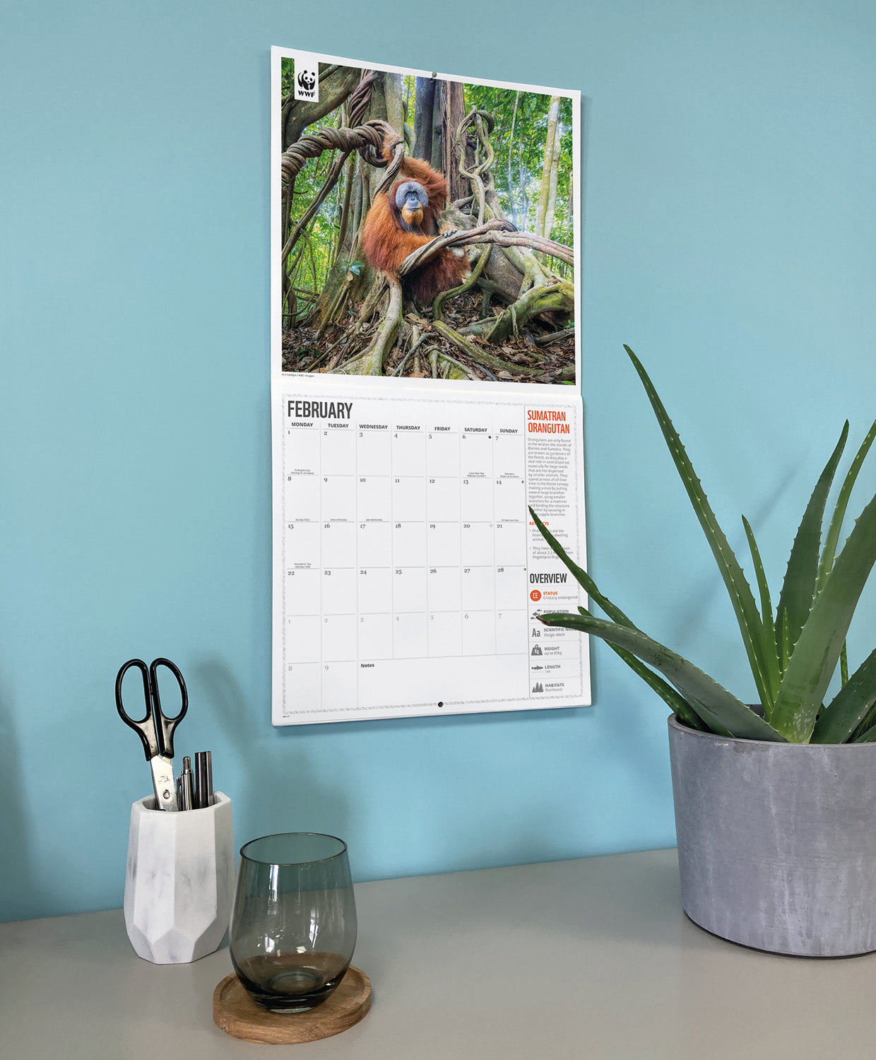 Amazing Wildlife WWF Wall Calendar 2027