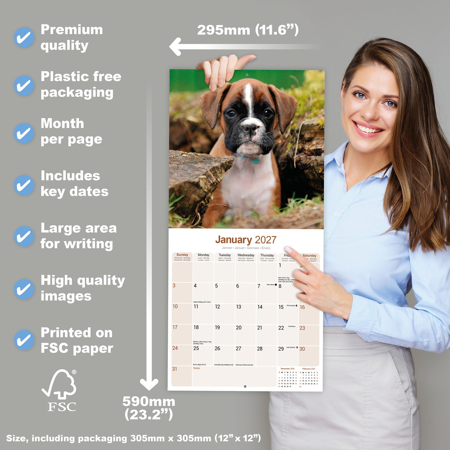 Boxer Wall Calendar 2027