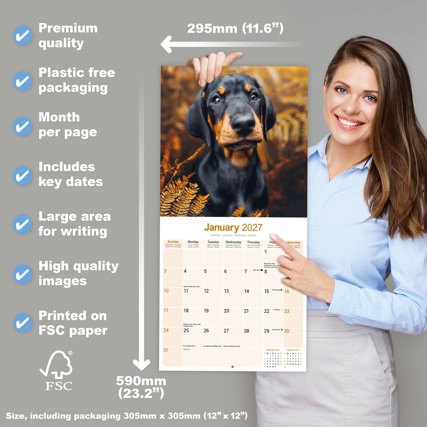 Dobermann Wall Calendar 2027