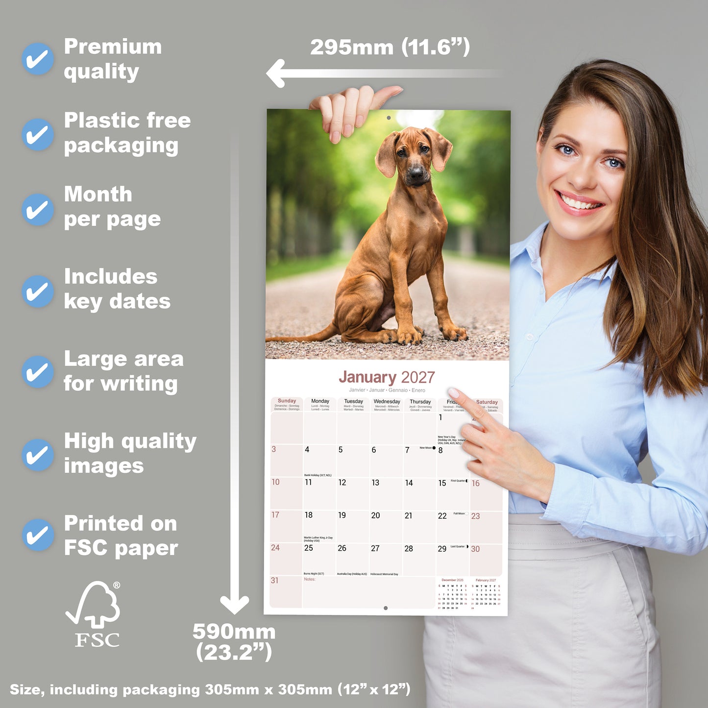 Rhodesian Ridgeback Wall Calendar 2027