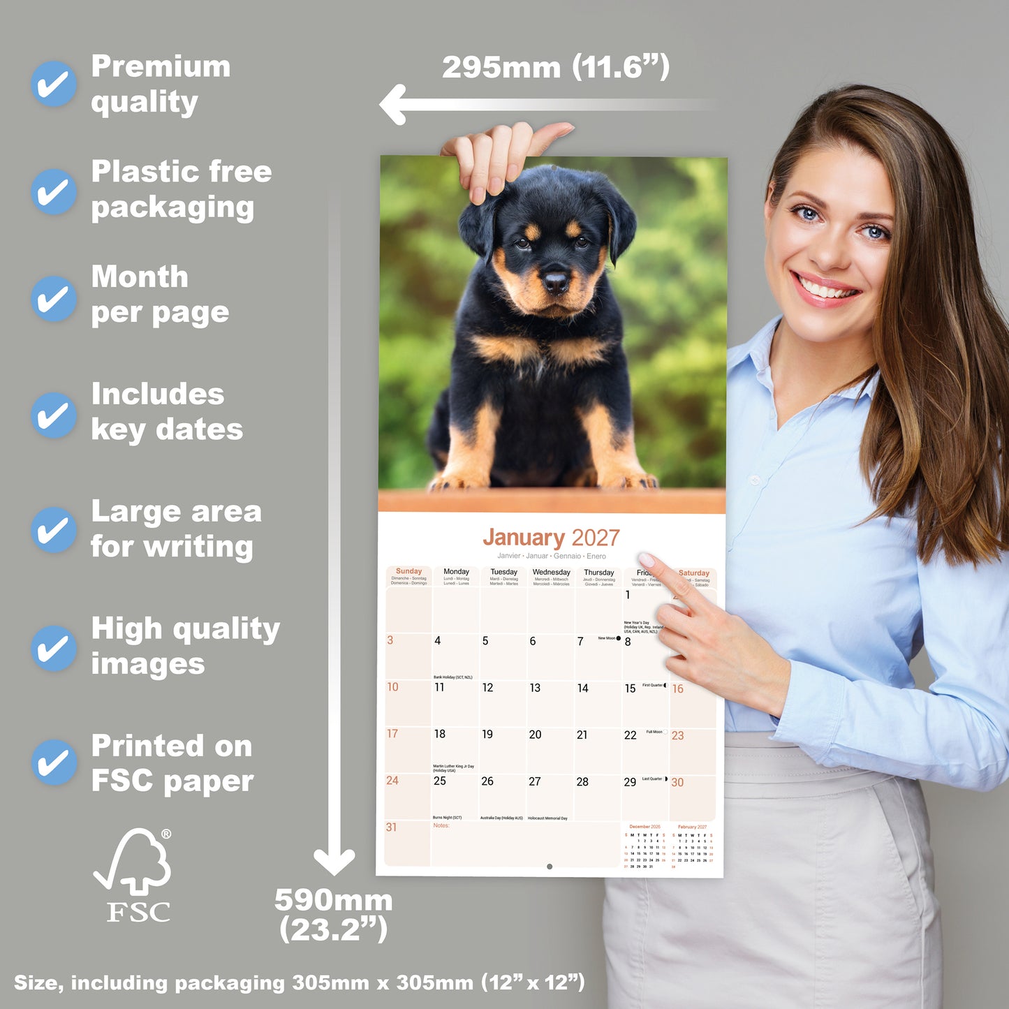 Rottweiler Wall Calendar 2027