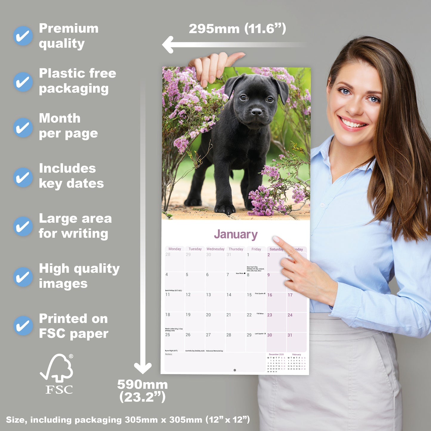 Staffordshire Bull Terrier Puppies Wall Calendar 2027