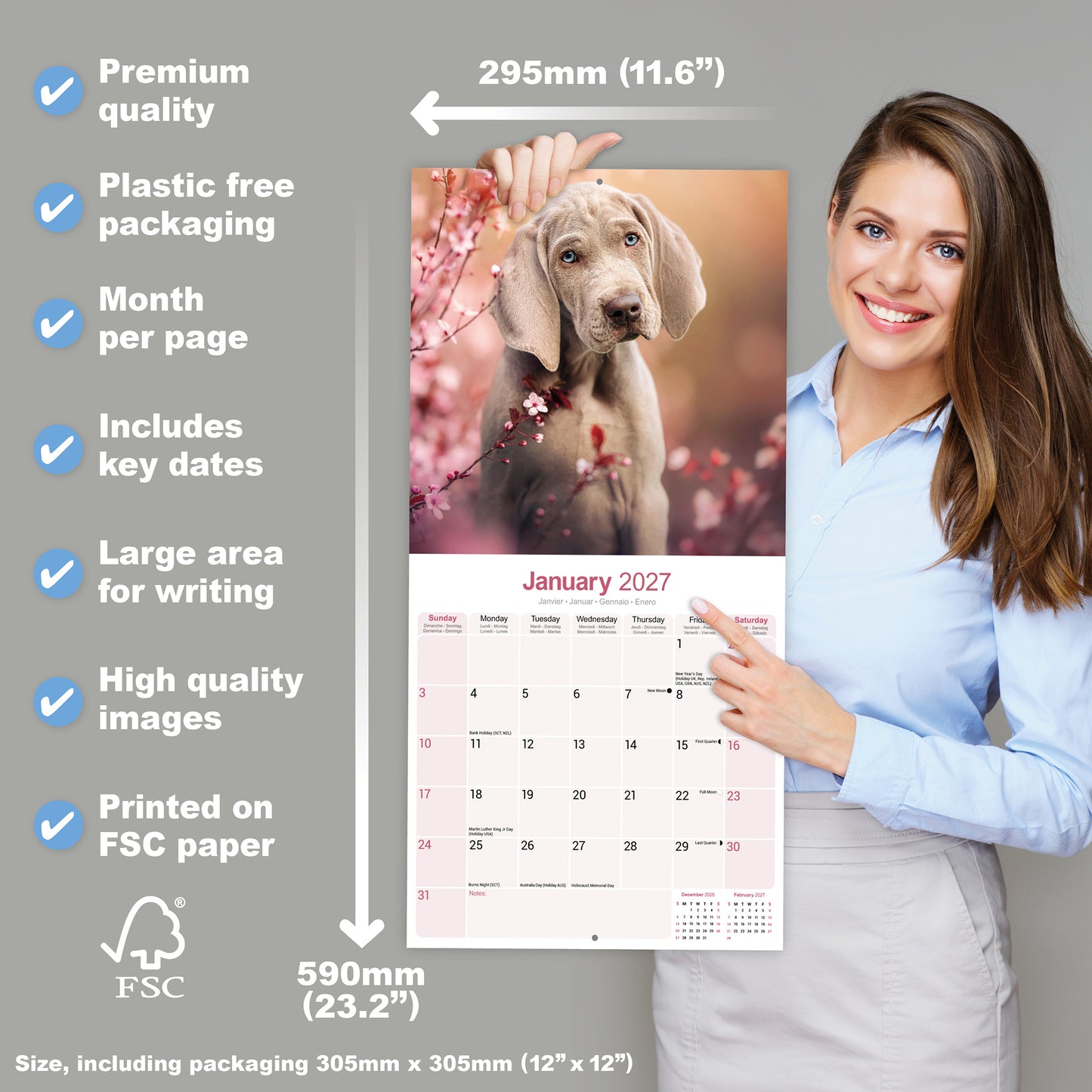 Weimaraner Wall Calendar 2027